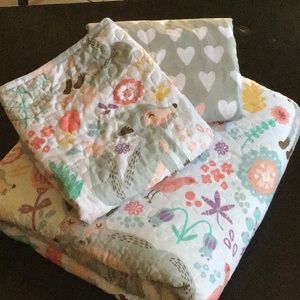 LUSH brand cotton quilt and pillow cases, light and bright